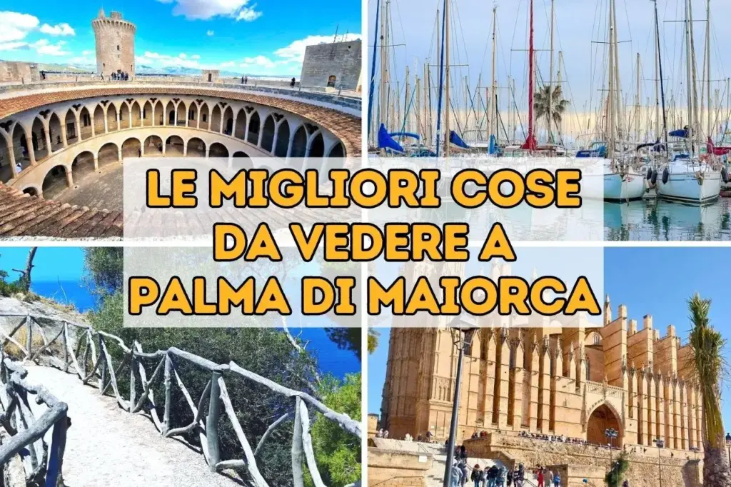 le cose da vedere a palma di maiorca